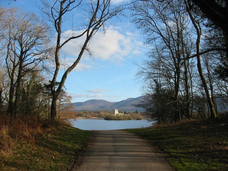Crystal Springs B&B Killarney Exterior foto
